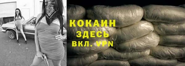 молекула духа Киреевск