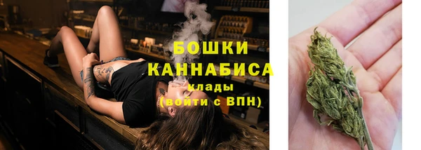 молекула духа Киреевск