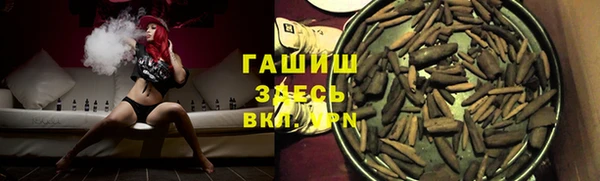 молекула духа Киреевск