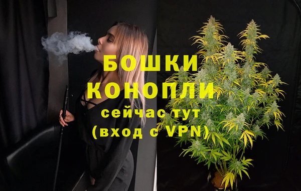молекула духа Киреевск