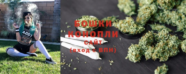 молекула духа Киреевск