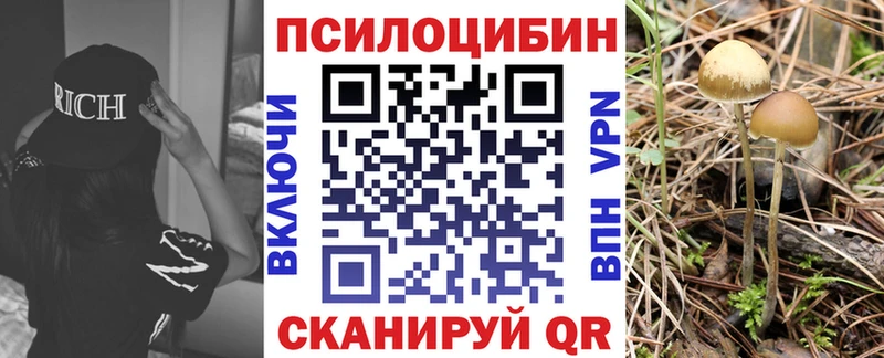 Галлюциногенные грибы MAGIC MUSHROOMS  Купить где  Бутурлиновка 